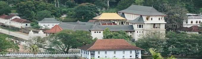 Negombo - Pinnawala - Kandy - Nuwara Eliya Tour