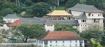 Negombo - Pinnawala - Kandy - Nuwara Eliya Tour