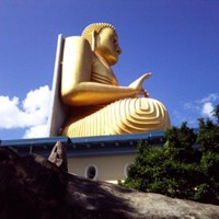 Kandy / Sigiriya / Dambulla