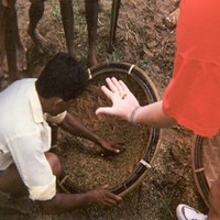 Negombo / Ratnapura / Yala