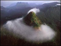 NUWARA ELIYA / ADAMSPEAK