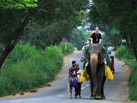 COLOMBO / PINNAWALA / KANDY