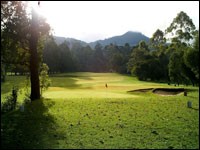 NUWARA ELIYA / COLOMBO